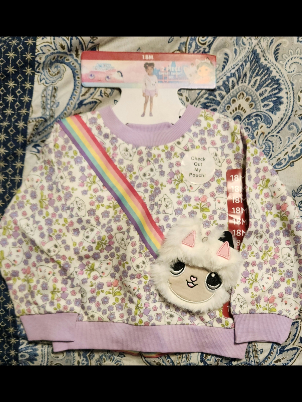 Gabby's Dollhouse Floral Sweatshirt with Rainbow Stripe & Plush Cat Pouch 18M